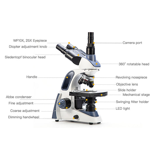 Swift SW380T 40X-2500X Magnification, Siedentopf Head, Research-Grade Trinocular Microscope Compound Lab with Wide-Field 10X/25X Eyepieces, Mechanical Stage, Ultra-Precise Focusing