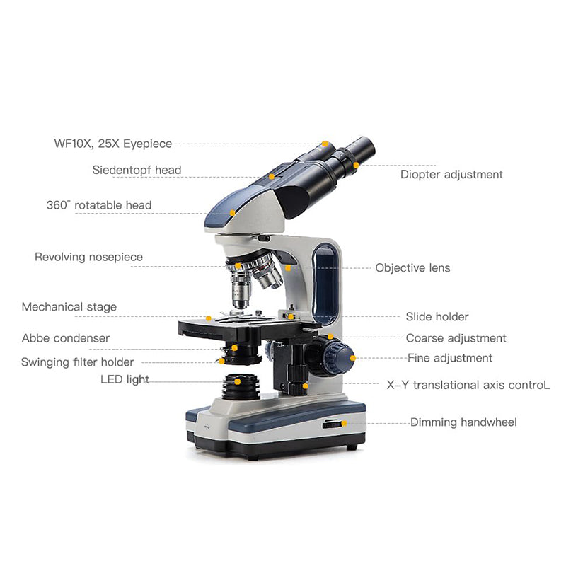 SWIFT SW350B 40X-2500X Biological Microscope With Siedentopf Binocular Head, 10X 25X Eyepieces, Mechanical Stage, Abbe Condenser SWIFT SW350B 40X-2500X Biological Microscope With Siedentopf Binocular Head, 10X 25X Eyepieces, Mechanical Stage, Abbe Condenser