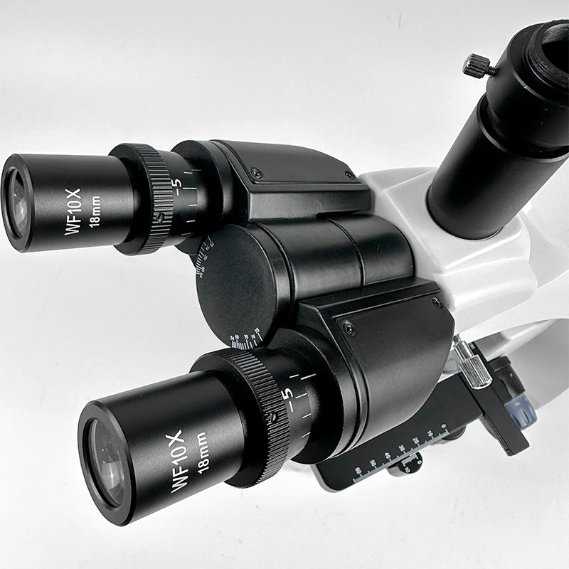 Albenth 40X-1000X Trinocular Biological Microscopes With 3W LED, Abbe Condenser, Double Layer Mechanical Stage Albenth 40X-1000X Trinocular Biological Microscopes With 3W LED, Abbe Condenser, Double Layer Mechanical Stage