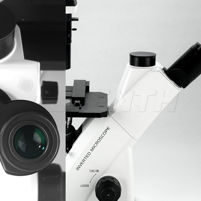 Albenth Inverted Biological Microscope for Laboratory Observation and Cultivation for Cell Tissue Albenth Inverted Biological Microscope for Laboratory Observation and Cultivation for Cell Tissue