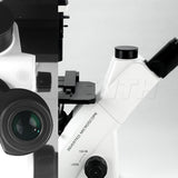Albenth Inverted Biological Microscope for Laboratory Observation and Cultivation for Cell Tissue Albenth Inverted Biological Microscope for Laboratory Observation and Cultivation for Cell Tissue