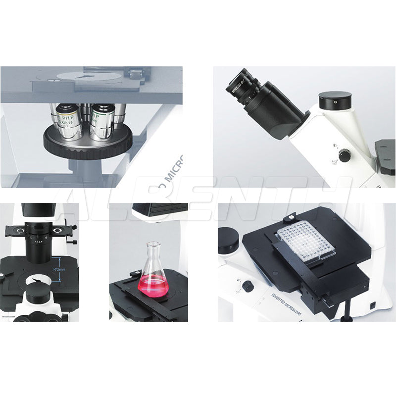 Albenth Inverted Biological Microscope for Laboratory Observation and Cultivation for Cell Tissue Albenth Inverted Biological Microscope for Laboratory Observation and Cultivation for Cell Tissue