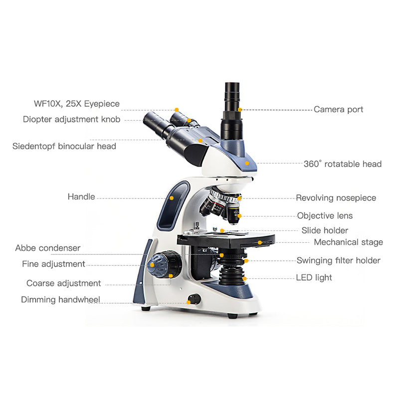 Swift SW380T 40X-2500X Magnification, Siedentopf Head, Research-Grade Trinocular Microscope Compound Lab with Wide-Field 10X/25X Eyepieces, Mechanical Stage, Ultra-Precise Focusing