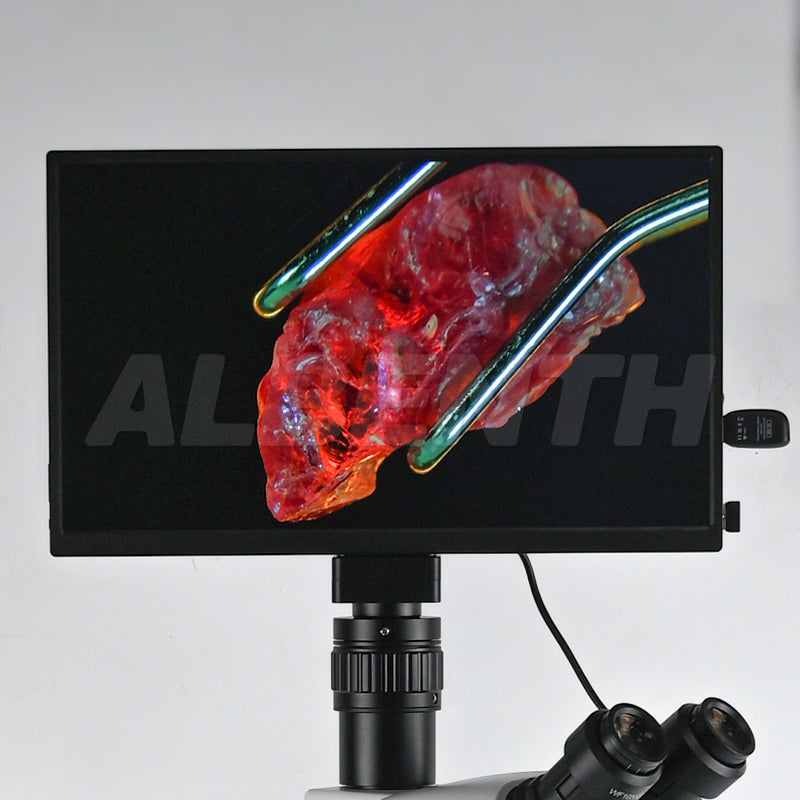 Albenth 13.3 Inch 8MP 4K LCD Microscope Camera HDMI USB3.0 WiFi  Built-In Windows System