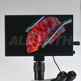 Albenth 13.3 Inch 8MP 4K LCD Microscope Camera HDMI USB3.0 WiFi  Built-In Windows System