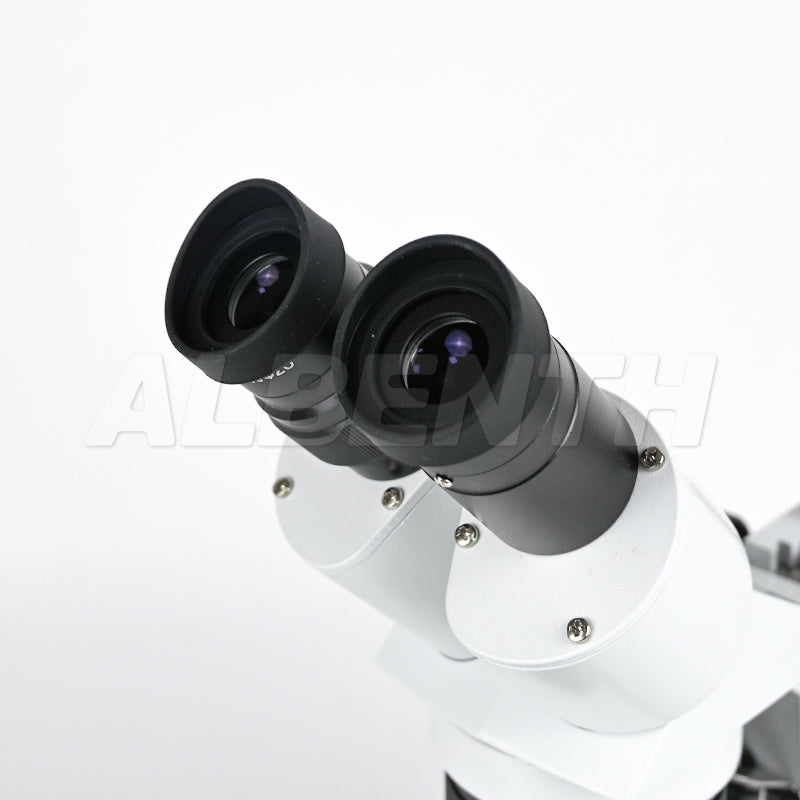 Albenth 20X 40X Binocular Stereo Microscope Small Portable Microscope With Top Bottom LED Light