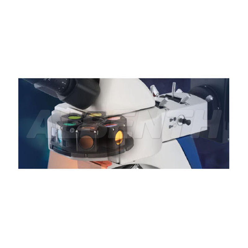 40X-1000X Transmission Reflection Fluorescence Microscope With 6V/30W Halogen Lamp, 100W Mercury Lamp