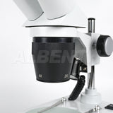 Albenth 20X 40X Binocular Stereo Microscope Small Portable Microscope With Top Bottom LED Light