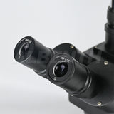 Albenth 10X-40X Jewelry Gem Trinocular Stereo Microscope With Polarizer, Analyzer