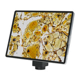 Touchpad LCD de 9.7 pulgadas con cámara de microscopio de 5.0MP incorporada