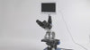 Albenth 40X-2500X 2MP HD Professional Trinocular Biological Microscope LED Digital Microscope + 7" LCD Screen+USBCabl