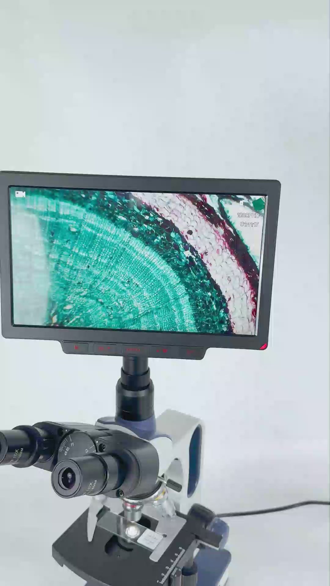 SWIFT SW350T Trinocular Compound Microscope SW350T, 40X-2500X Magnification With 2MP/4MP 10.1'' LCD Microscope Camera Siedentopf Head, Research-Grade, Two-Layer Mechanical Stage