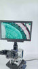 SWIFT SW350T Trinocular Compound Microscope SW350T, 40X-2500X Magnification With 2MP/4MP 10.1'' LCD Microscope Camera Siedentopf Head, Research-Grade, Two-Layer Mechanical Stage